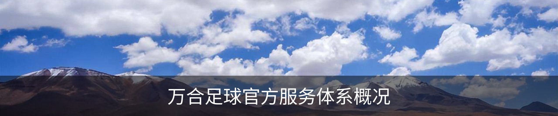 万合足球官方服务体系概况